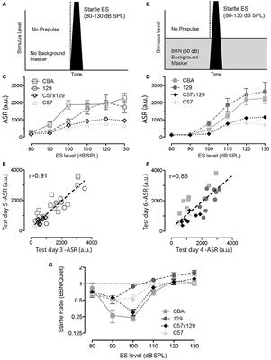 Reflex Modification Audiometry Reveals Dual Roles for Olivocochlear Neurotransmission